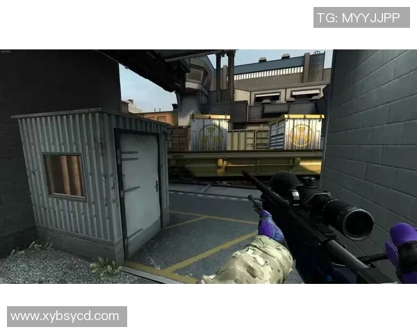 CSGO巨献揭秘V5战队灵活战术与应变能力的深度分析实时新闻